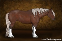 Horse Color:Silver Brown 