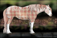Horse Color:Plaid  Liver Chestnut Ice Splash 