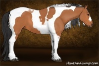 Horse Color:Bay Tobiano 