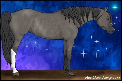 Horse Color: Grullo Rabicano 