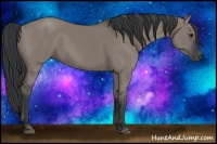 Horse Color:Grullo Rabicano 