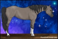 Horse Color:Grullo Tobiano 