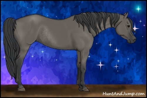 Horse Color: Grullo Rabicano 