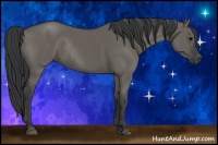 Horse Color:Grullo Rabicano 