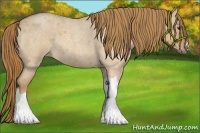 Horse Color:Red Dun Roan 