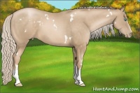 Horse Color:White Spotted Chocolate Palomino Pearl 