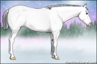 Horse Color:White Spotted Bay Splash 