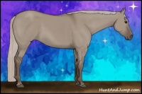 Horse Color:Silver Grullo 