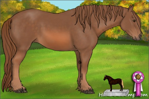 Horse Color: Liver Chestnut 