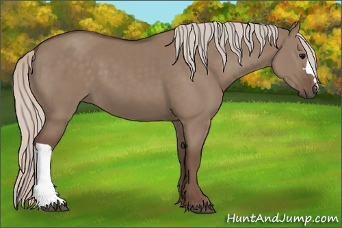 Horse Color: Silver Grullo 