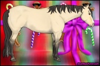 Horse Color:Buckskin Roan Dun Splash 