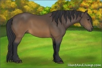 Horse Color:Brown 