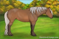 Horse Color:Silver Brown 