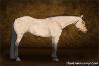 Horse Color:Bay Roan Dun 