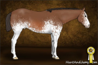 Horse Color:White Spotted Bay 