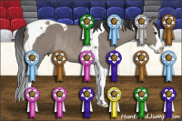 Horse Color:Grullo Splash Tobiano Rabicano