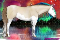 Horse Color:Grullo Pearl Splash 