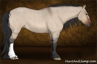 Horse Color:Bay Roan Dun 