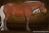 Horse Color:Silver Bay 