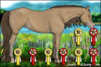 Horse Color:Classic Cream Champagne