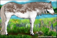 Horse Color:White Spotted Silver Black Frame 
