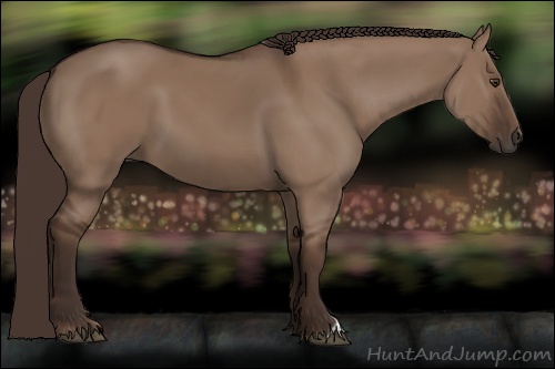 Horse Color: Liver Red Dun 