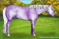 Horse Color:Gray Red Dun