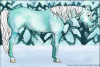 Horse Color:Gray Chestnut Splash 