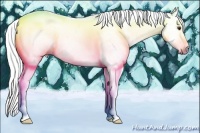 Horse Color:Gray Red Dun Sabino 