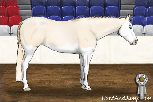 Horse Color: Buckskin Pearl Dun Splash 