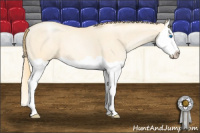 Horse Color:Buckskin Pearl Dun Splash 