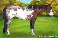 Horse Color:Bay Ice Frame 