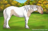 Horse Color:Silver Bay Dun Tobiano Rabicano