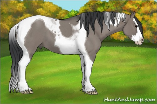 Horse Color: Brown Roan Dun Splash Tobiano 