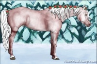 Horse Color:Gray Palomino Dun Tobiano 