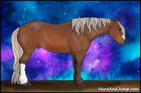 Horse Color:Silver Bay 