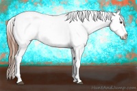 Horse Color:Red Dun Blanket 