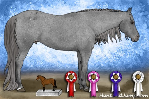 Horse Color: Brown Varnish 