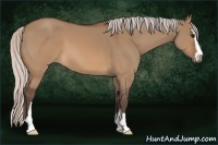 Horse Color:Silver Brown Dun Sabino 