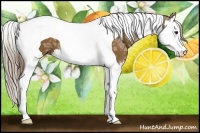 Horse Color:Chocolate Palomino Ice Splash Tobiano