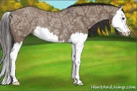 Horse Color:Liver Red Dun Ice Splash Rabicano