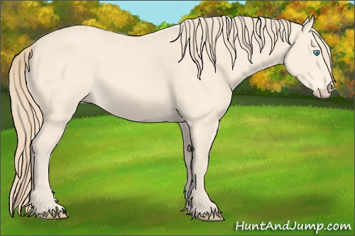 Horse Color:Perlino 