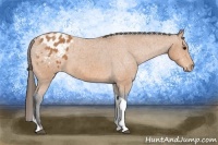Horse Color:Bay Tobiano Varnish 