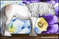 Horse Color:Gray Bay 