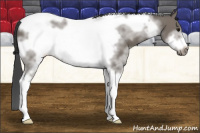 Horse Color:White Spotted Black Tobiano Frame 