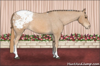 Horse Color:Chestnut Tobiano Appaloosa 