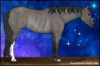 Horse Color:Grullo Rabicano 