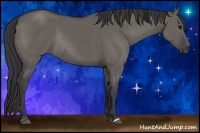 Horse Color:Grullo Rabicano 