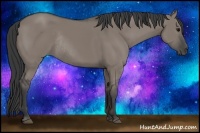 Horse Color:Grullo Rabicano 