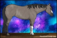 Horse Color:Grullo Rabicano 